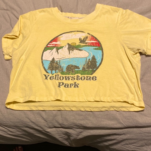URBAN OUTFITTERS// Small// cropped tee - Picture 1 of 1